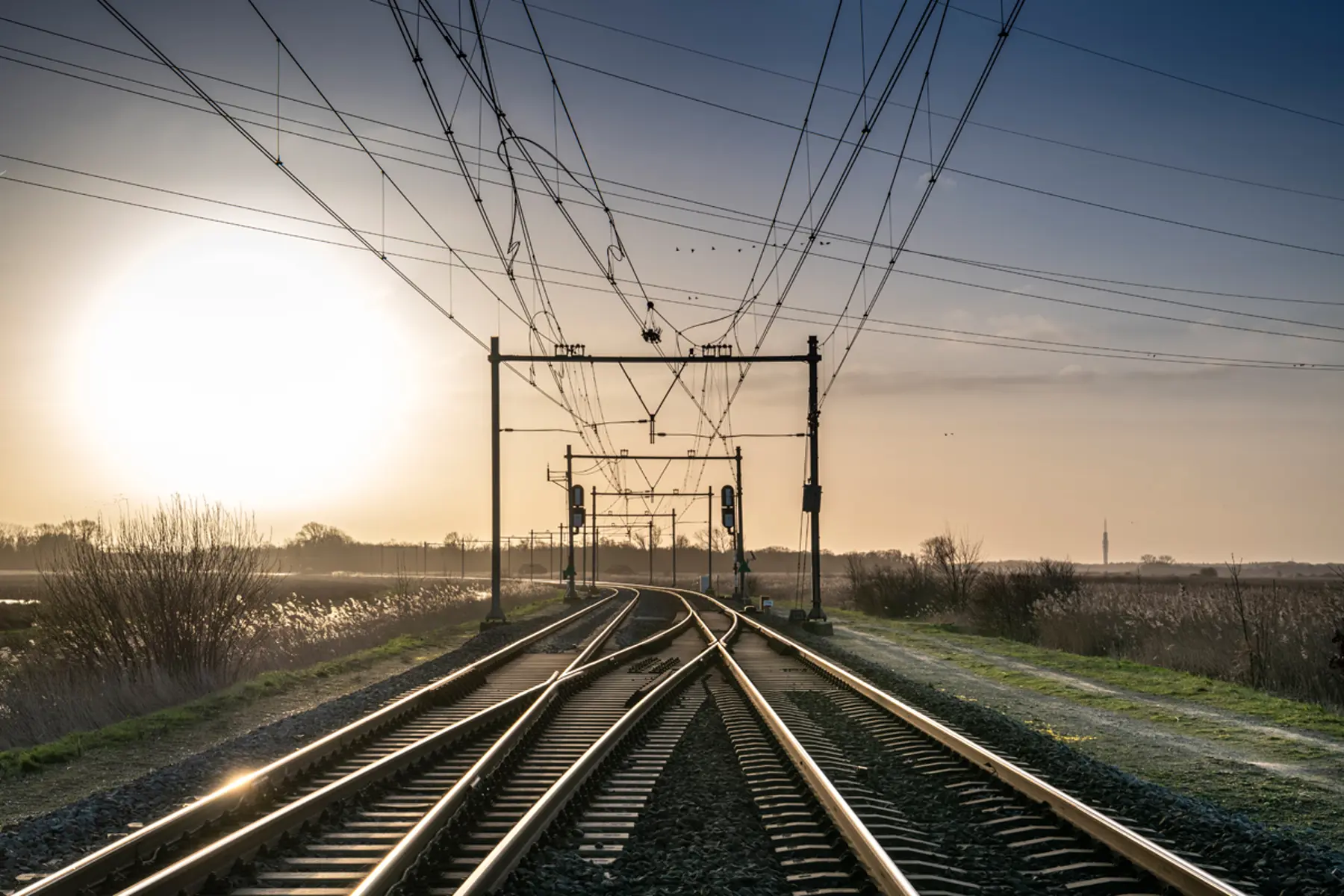 Het spoor loopt door het natuurgebied Naardermeer.