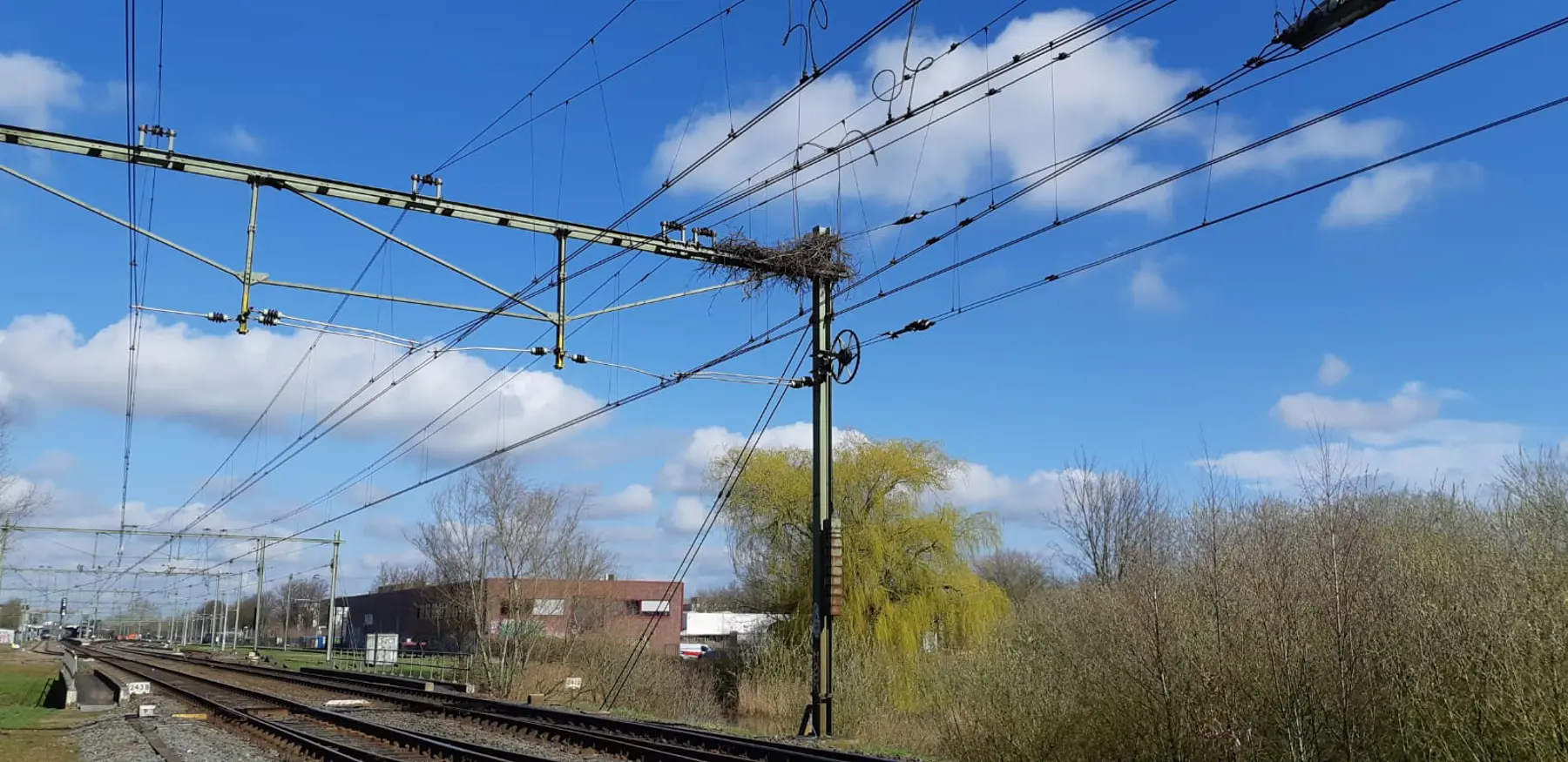 Dit nest bij Meppel is verwijderd: te dicht tegen de bovenleidingsdraden en direct boven een spoorwissel.