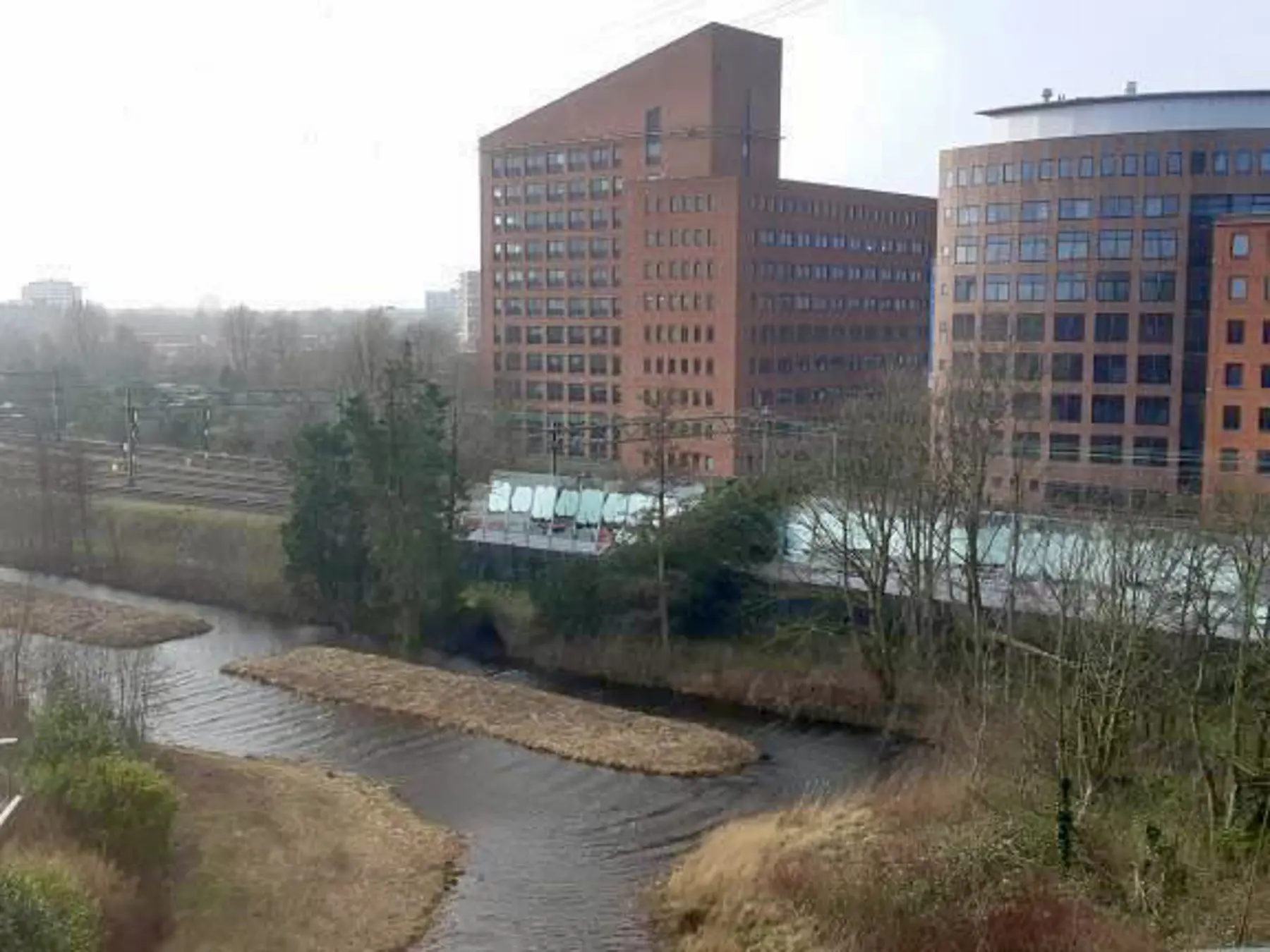 Een omgevallen boom op de geluidswal bij Den Haag Mariahoeve