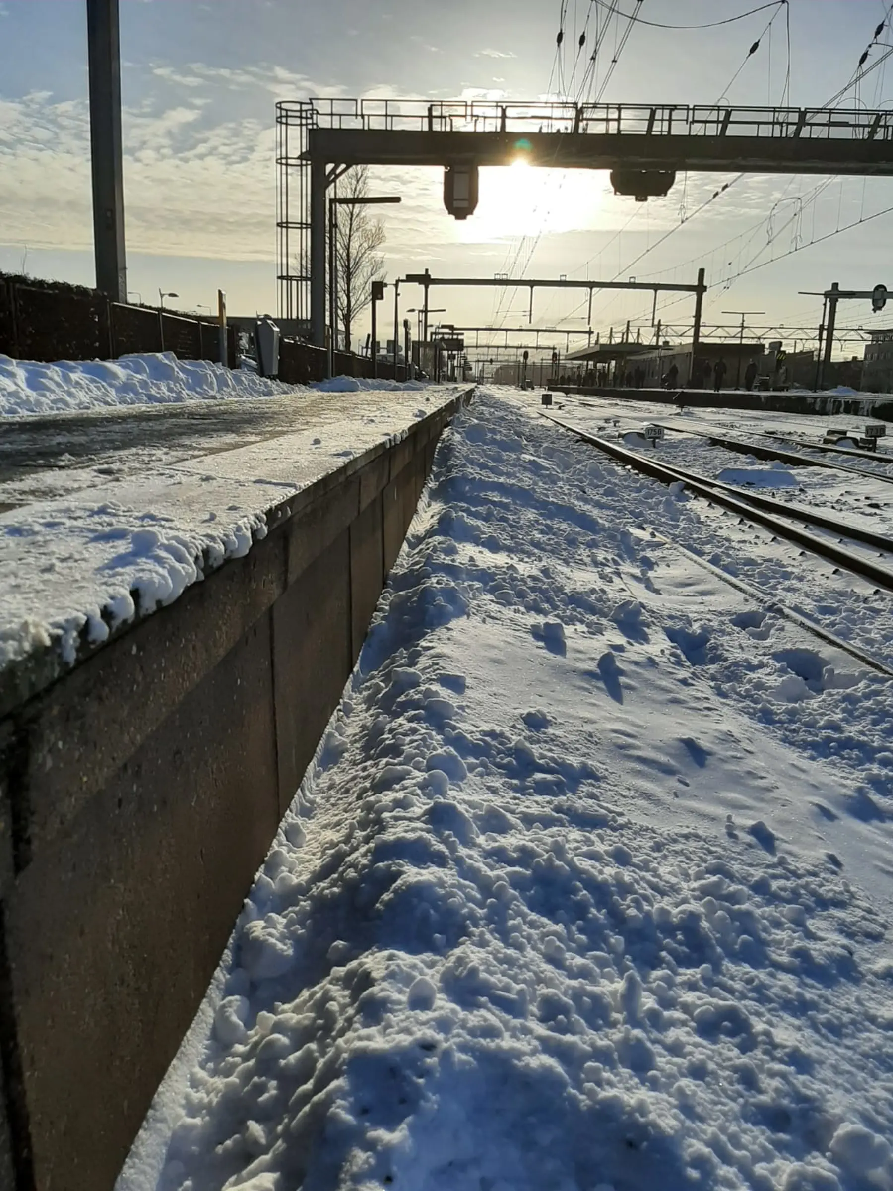 Sneeuwduinen bij Uitgeest