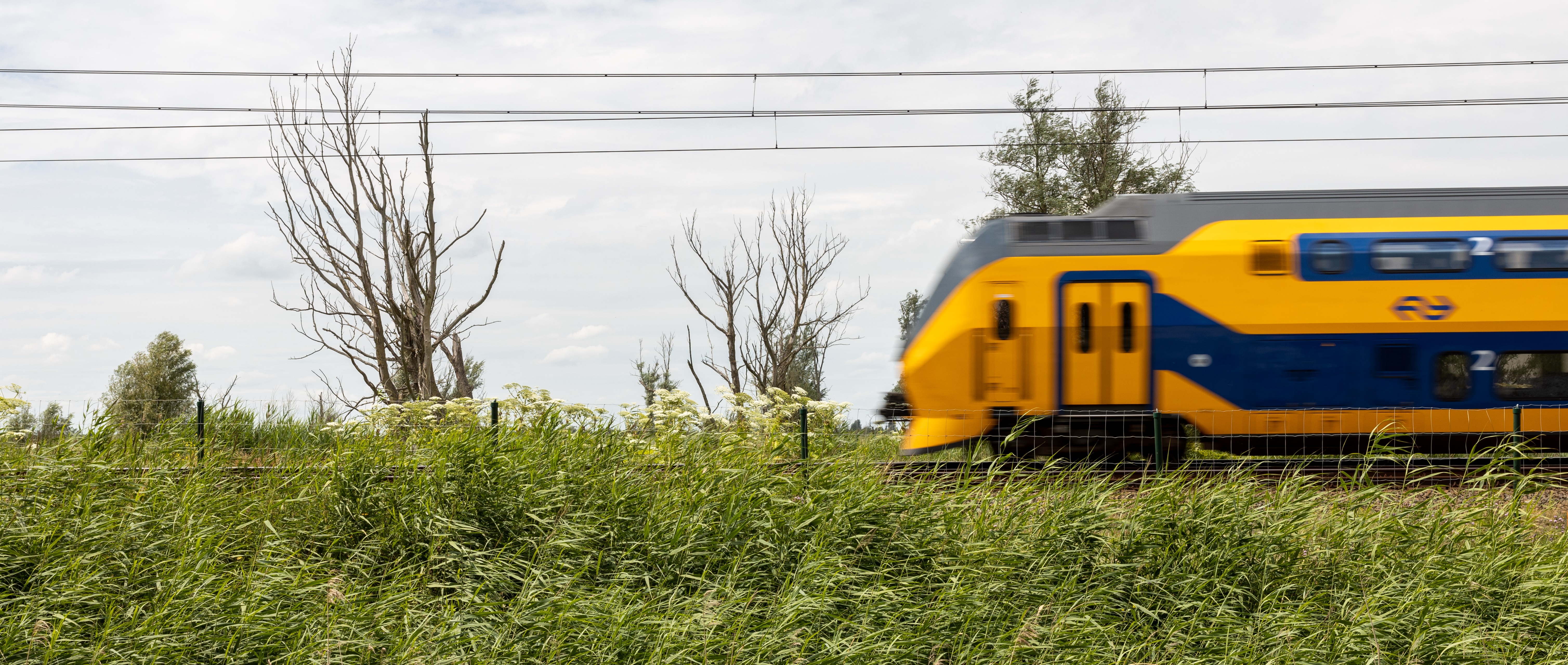 Vervolgonderzoek Naar Stabiliteit Spoordijken Noodzakelijk | ProRail