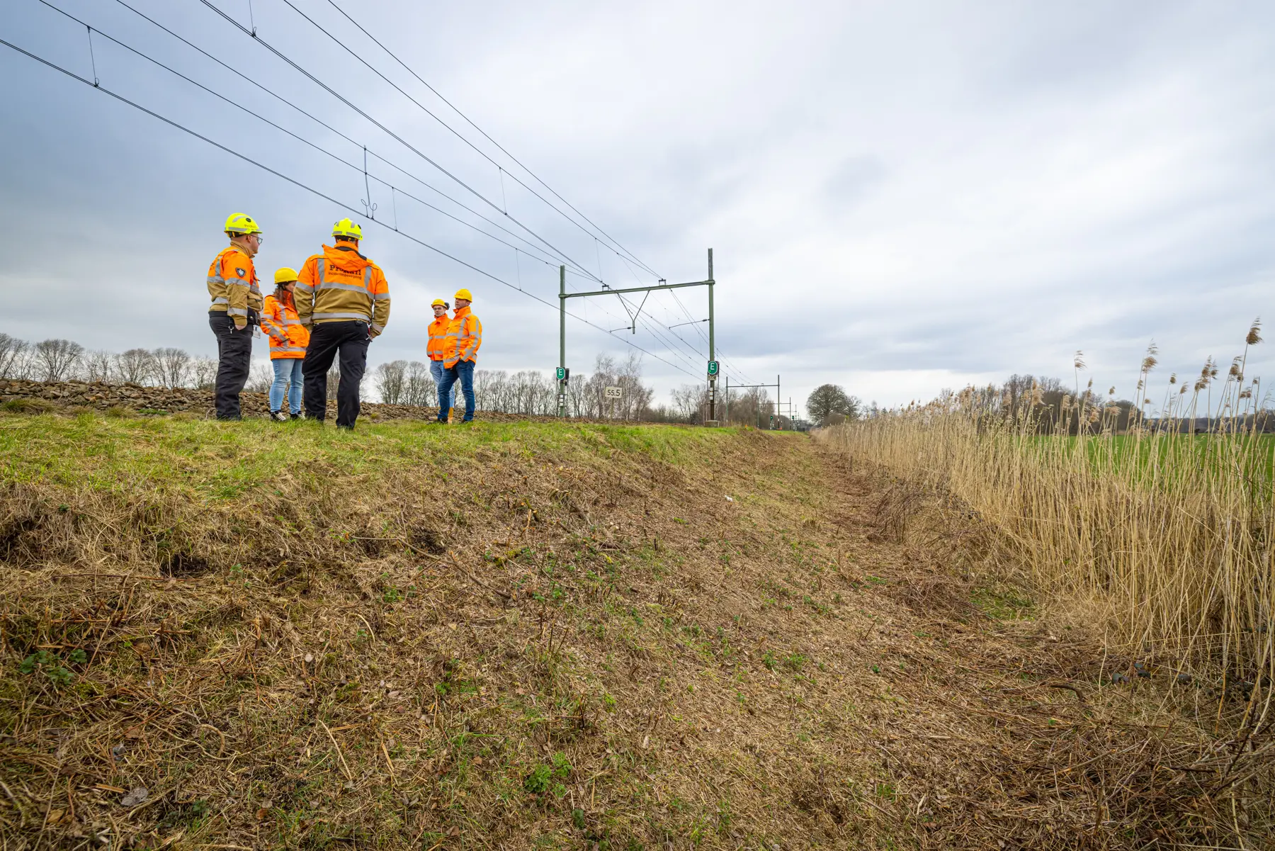 Het spoor bij Esch waar dassen hebben gegraven