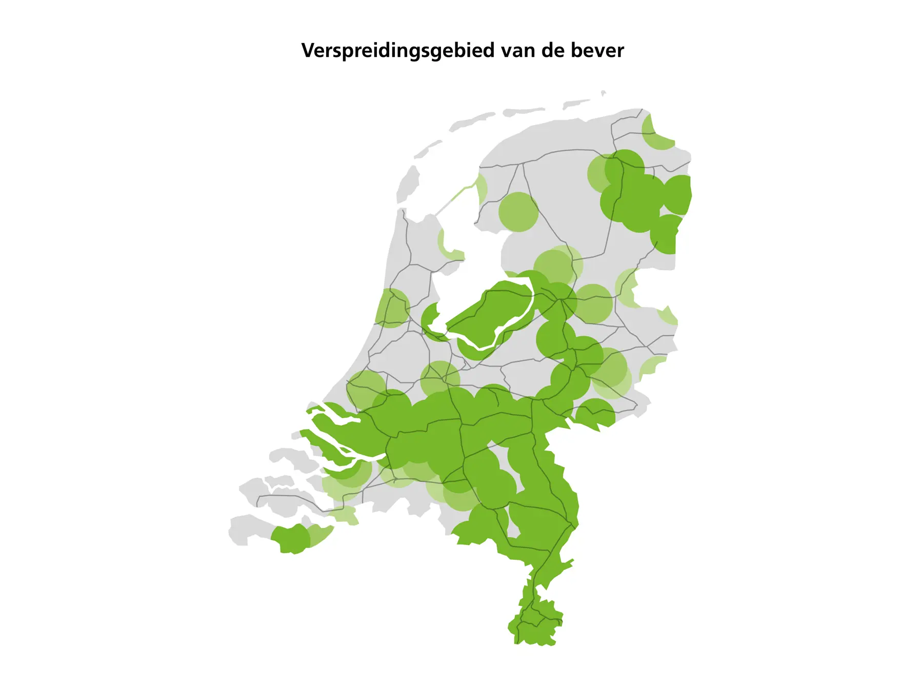 De bever is aan een opmars bezig in Nederland