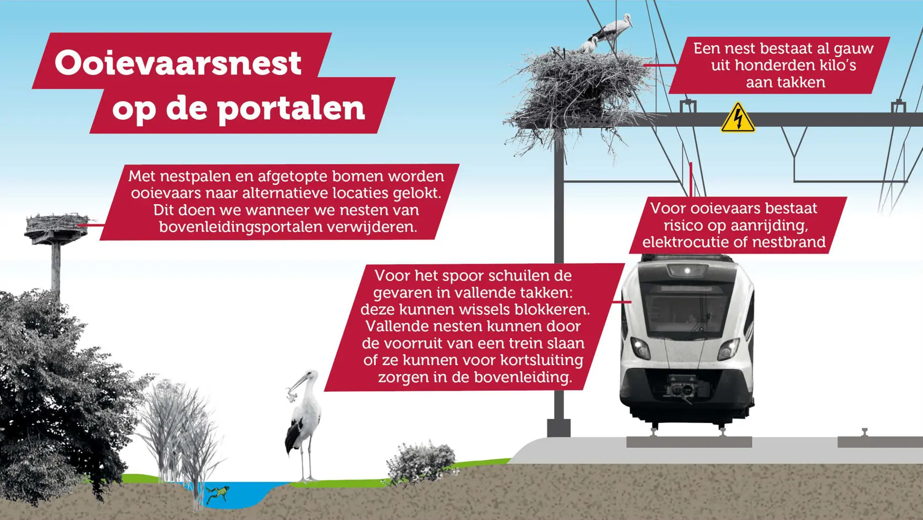 De risico's van ooievaars bij het spoor