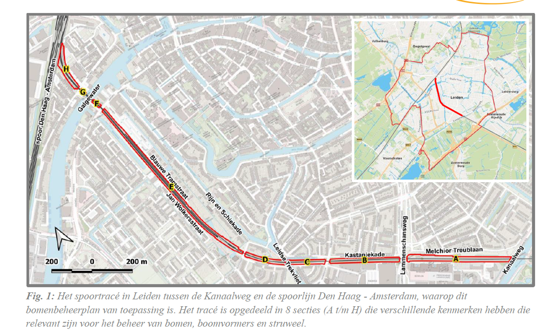 Het gebied van het bomenbeheerplan in Leiden